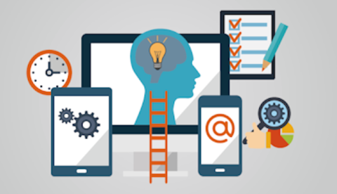 Depois de trabalhar sem remuneração pesquisadora perde bolsa de pesquisa