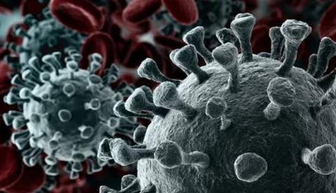 Coronavírus faz Hemoam tomar medidas contra doadores vindos de outros países 