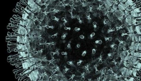 Chinesa de 103 anos é a pessoa mais velha a se curar do coronavírus 