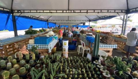 Feiras de Produtos Regionais e Sustentabilidade são suspensas por coronavírus em Manaus