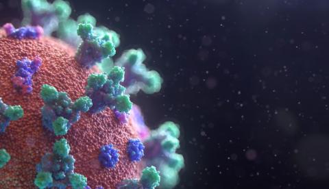 Cinco milhões de testes rápidos para Coronavírus estarão disponíveis na próxima semana