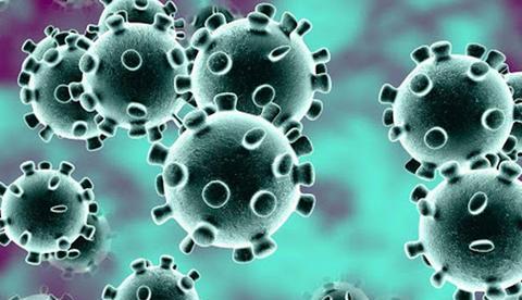 Curada do covid-19, advogada de 30 anos alerta que doença atinge todas as idades 