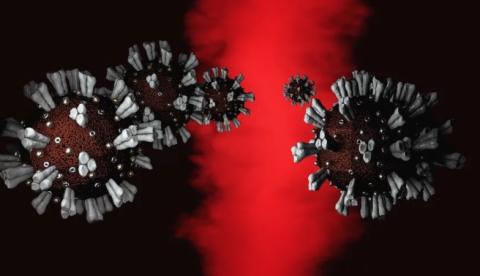 Brasil registra mais de 6 mil infectados e 246 mortos 