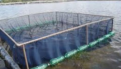 No Amazonas, professor é condenado por não prestar contas de recursos