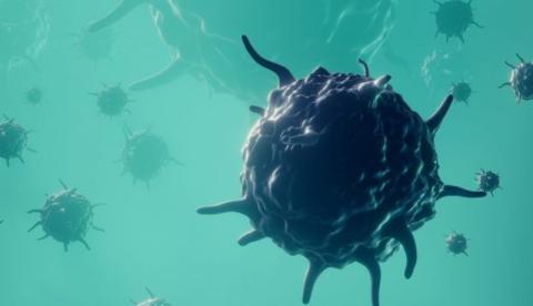 Casos de coronavírus no interior do Amazonas já passam dos 50 