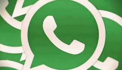 Equipe de psicólogos da Ufam faz atendimento online em Manaus