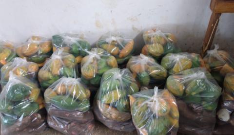  Sistema Sepror entrega 1.240 cestas básicas no Amazonas 