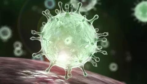 Instituições pedem ao Ministério da Saúde acompanhamento de ações no Amazonas 