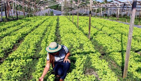Produtor rural do Amazonas ganha cartilhas online grátis