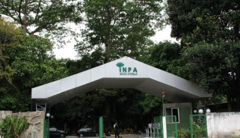 Em Manaus, expediente presencial no Inpa só volta em 15 de maio