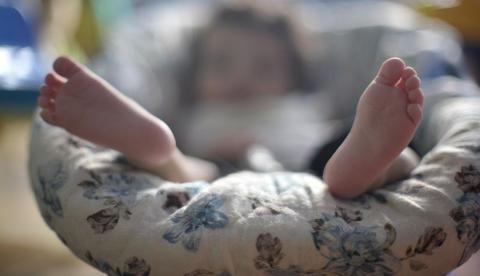 Atrizes, cantores e outras celebridades participam de ação que comemora Dia Nacional da Adoção