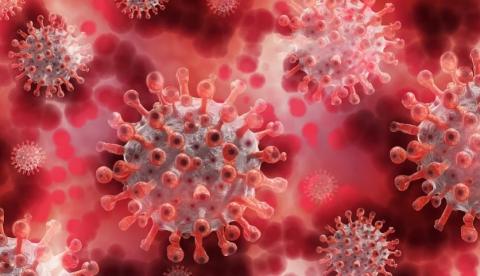 Coronavírus: Brasil registra 1.005 mortes em 24h e total chega a 35.026