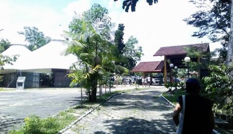 Musa lança projeto 'Amicus Flora’ para adoção de árvores