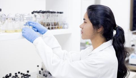 Fapeam intensifica apoio a programas de pós-graduação no Amazonas