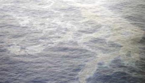 Empresa é multada em R$300 mil por poluir Rio Negro