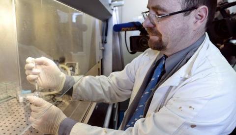 Cresce oposição de pais à vacina contra HPV