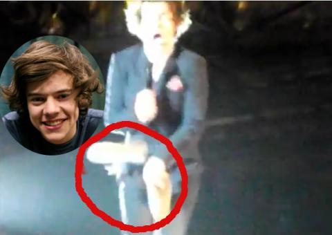 (Vídeo) Cantor do 'One Direction' leva sapatada em partes íntimas