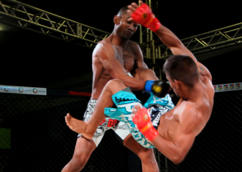 Composição da a Seleção Brasileira de MMA Amador