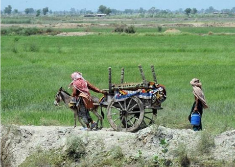 Crença de magia negra faz com que pai mate cinco filhos estrangulados
