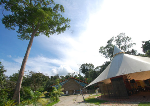 ‘Conheça Manaus’ dá dicas de roteiros naturais da cidade
