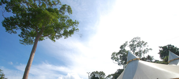 ‘Conheça Manaus’ dá dicas de roteiros naturais da cidade