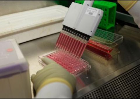 Vacina do sarampo modificada fez desaparecer câncer em paciente