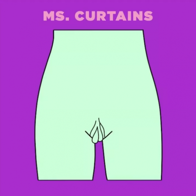 Ms.Curtains