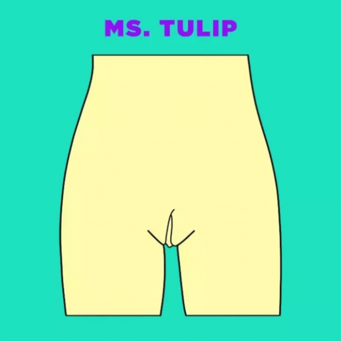 Ms.Tulip