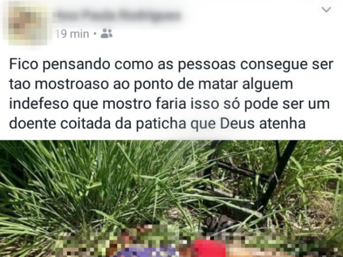 Foto: Reprodução