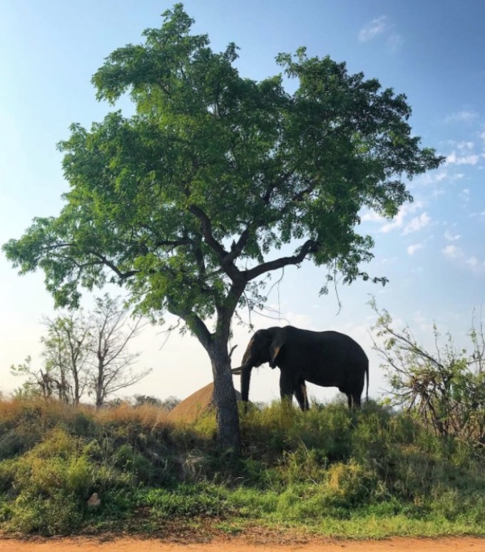 Foto: Reprodução Instagram