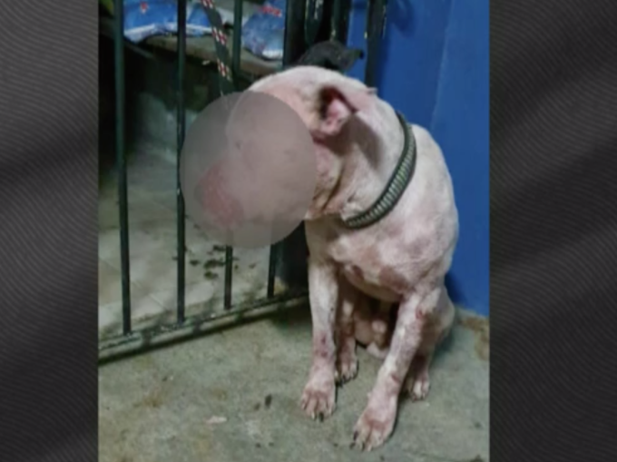 Foto: Reprodução/ GloboNews