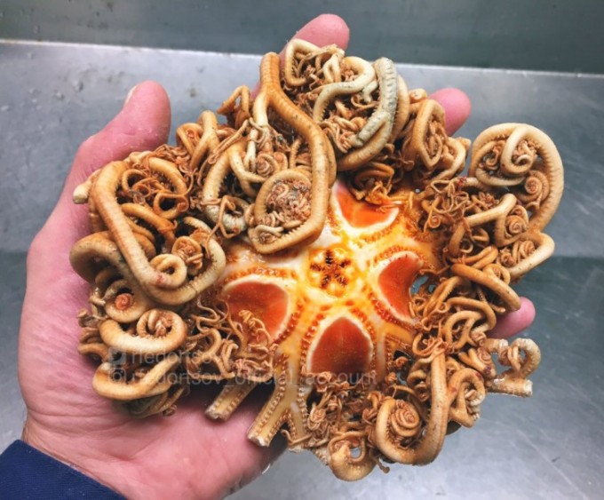 Foto: Reprodução/Instagram