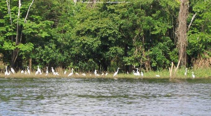 Cooperação entre instituições visa preserva fauna - Foto: Eustáquio Liborio/PH