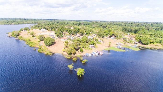 Floresta Estadual de Maués está incluída no Paisagens Sustentáveis