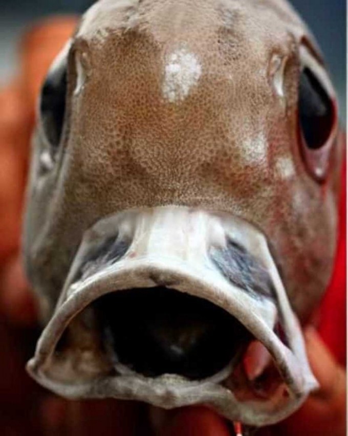 Foto: Reprodução/Instagram