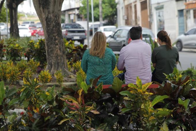 A empresa Lauschner Negócios Imobiliários fez a substituição de mudas