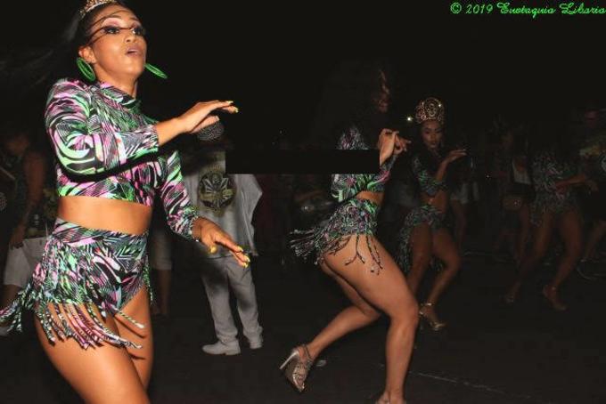 Enredo vai mostrar o turismo como atividade geradora de emprego e renda e mostrar belezas do Amazonas - Foto: Eustáquio Libório/PH