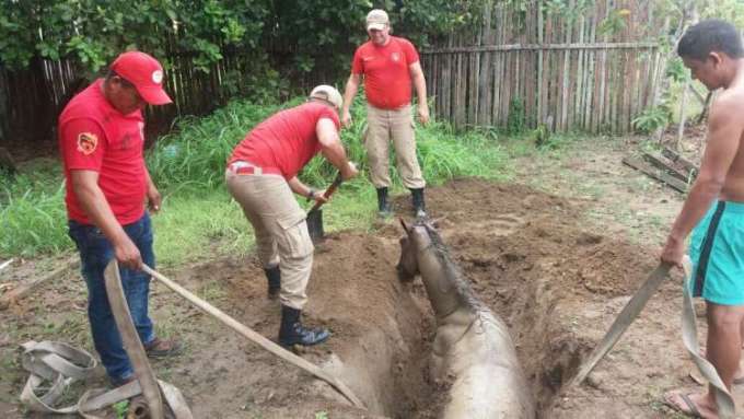 Foto: Divulgação/Bombeiros