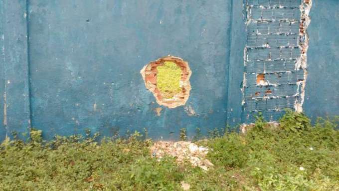 Foto: Pedro Braga Júnior/Portal do Holanda