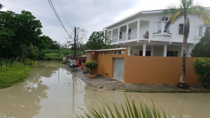 Foto: Ronaldo Siqueira/Portal do Holanda