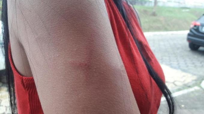 Foto: Josemar Antunes/Portal do Holanda