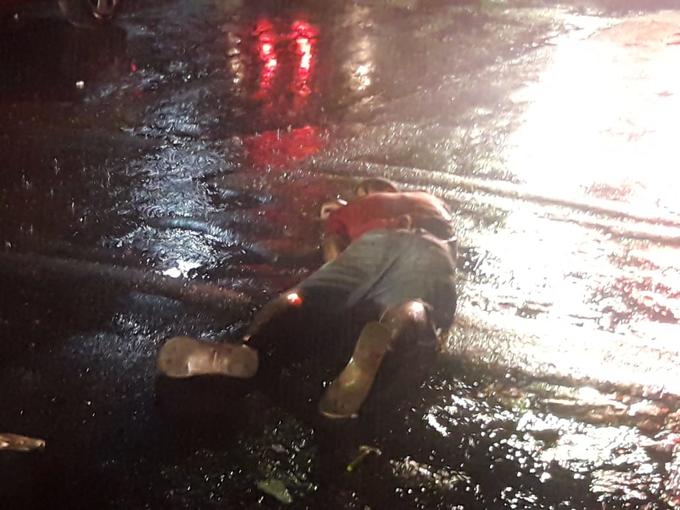 Foto: Josemar Antunes/ Portal do Holanda