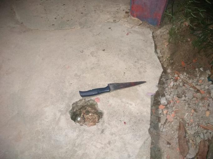 Foto: Caio Guarlotte/ Portal do Holanda