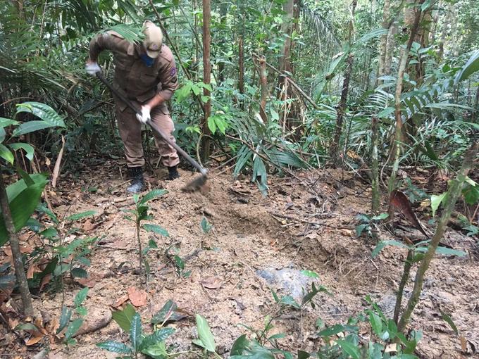 Foto: Caio Gualortte / Portal do Holanda
