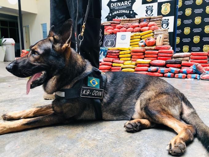 Foto: Altemir Coelho/Portal do Holanda