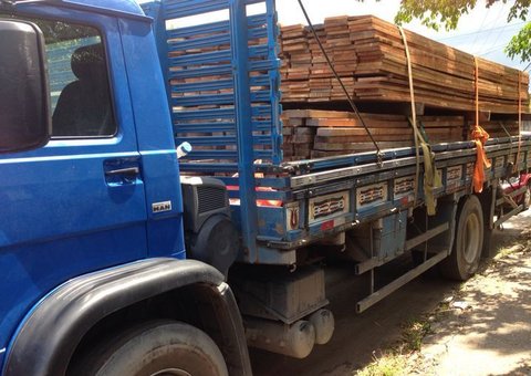 Polícia Civil registra apreensão de madeira ilegal