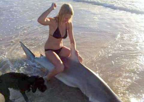  Mulher sentada em um tubarão encalhado, causa revolta nas redes sociais 