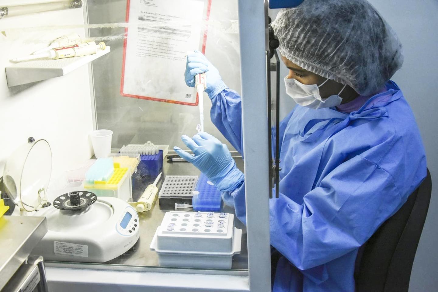 Fotos: Ingrid Anne / ILMD Fiocruz Amaz&ocirc;nia