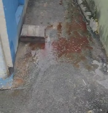 Foto: Divulga&ccedil;&atilde;o