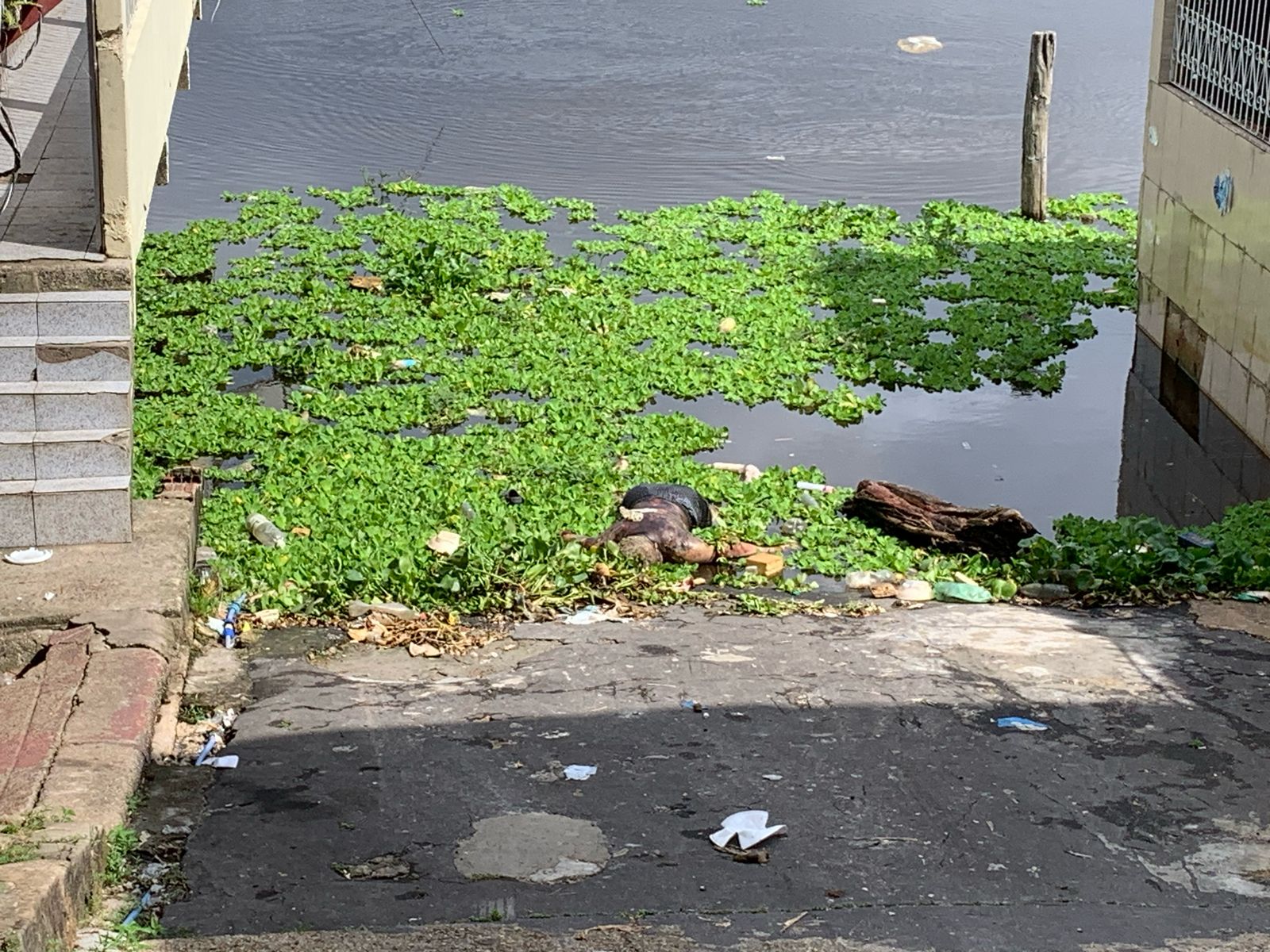 Foto: Caio Guarlotte/ Portal do Holanda